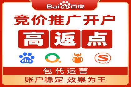 案例分析：打造高效竞价推广策略